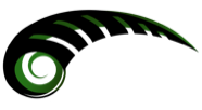 iNet24 NZ Made Logo